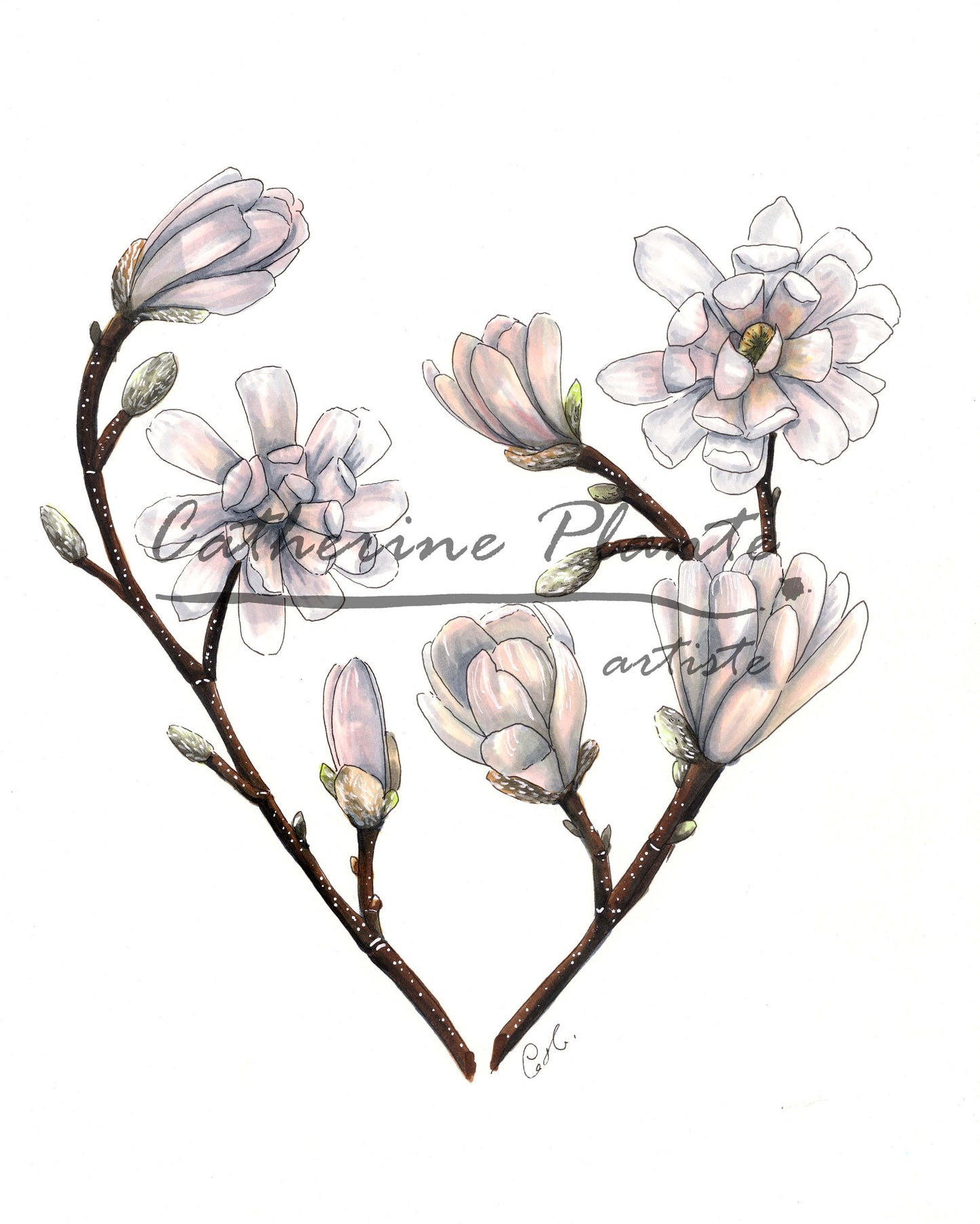Impression d'art - Coeur de magnolias