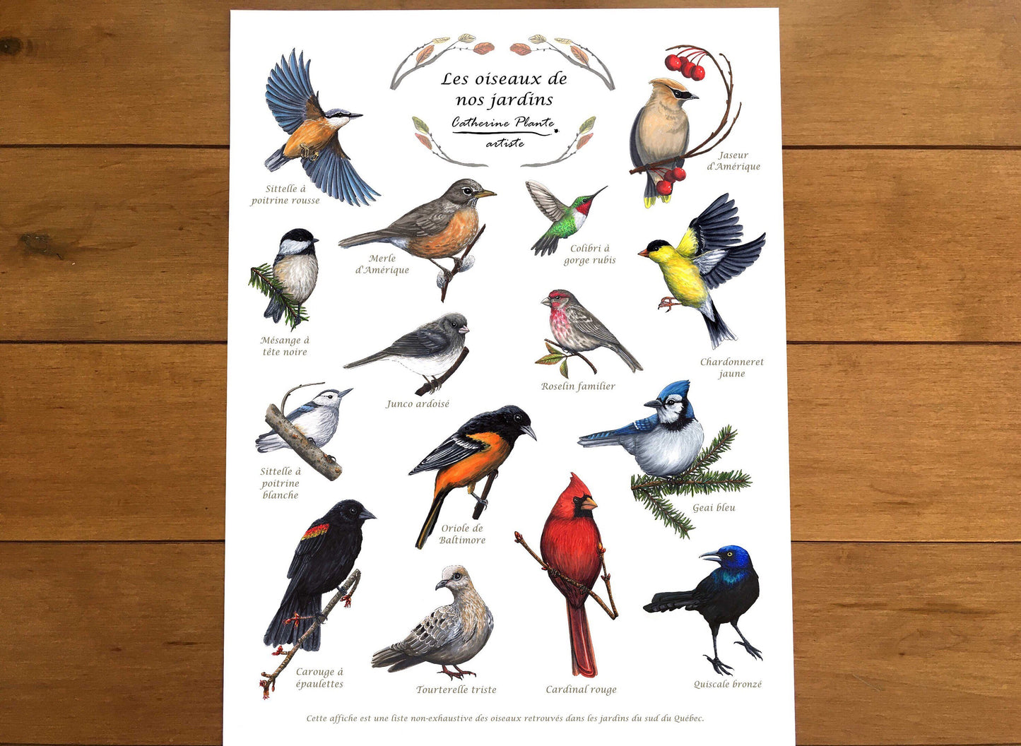Affiche éducative - Les oiseaux de nos jardins