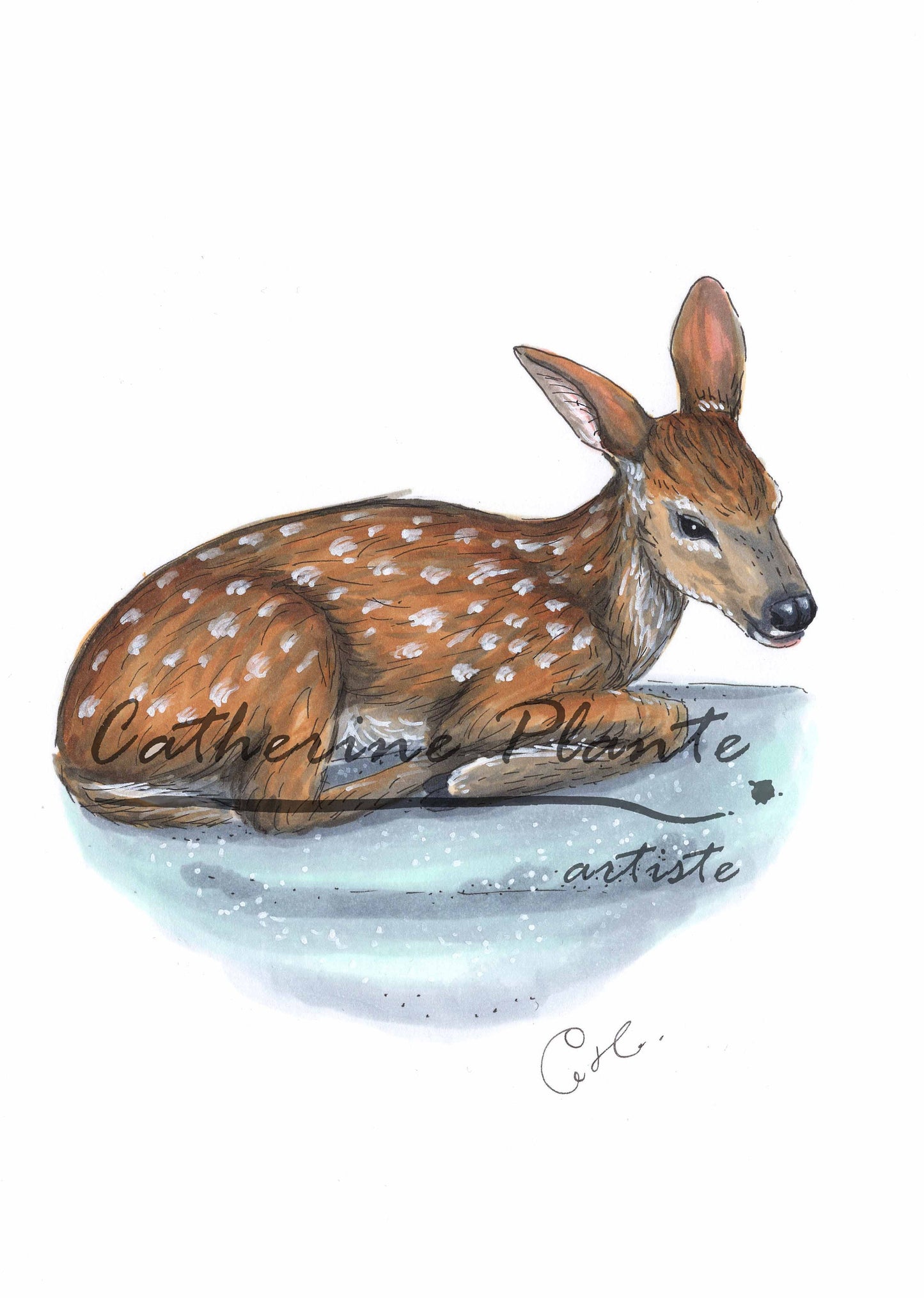 Petite illustration originale - Cerf et délicatesse hivernale