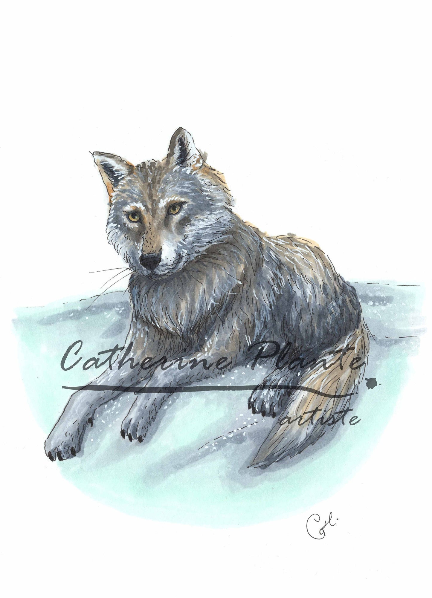 Petite illustration originale - Loup et délicatesse hivernale
