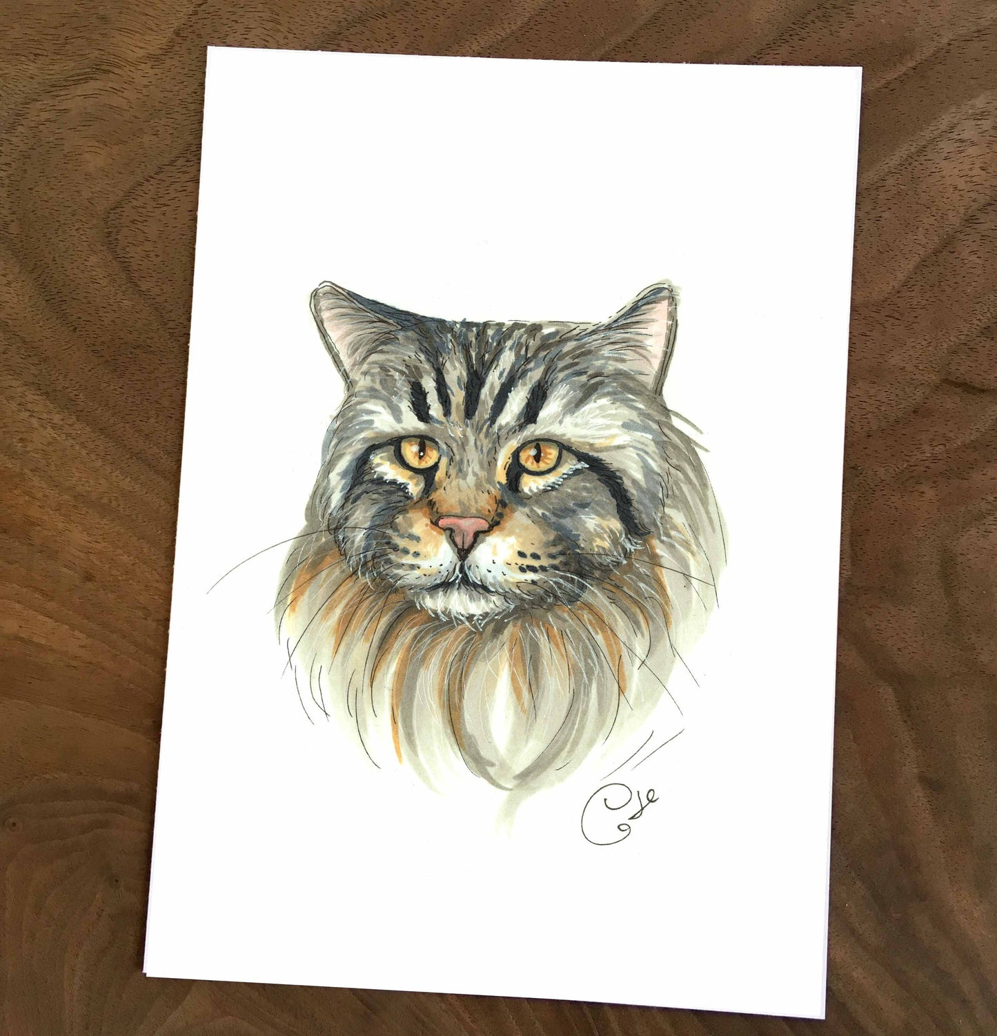Petites illustrations originales - Choix de six oeuvres de chats