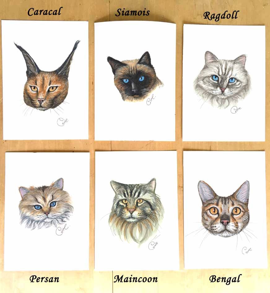 Petites illustrations originales - Choix de six oeuvres de chats