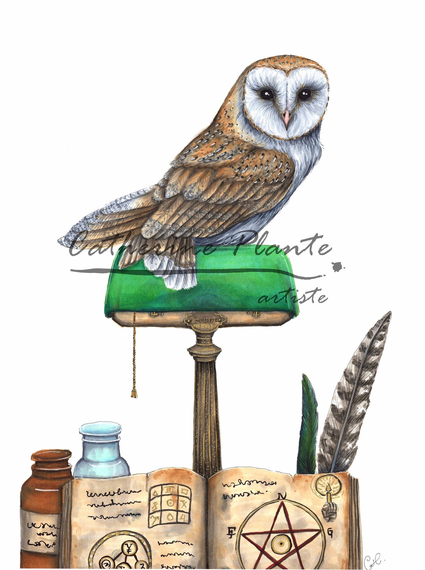 Grande illustration originale - Bewitched by the Owl